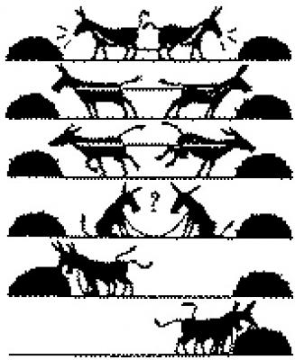 Los dos burros.....(perd&oacute;n asnos)