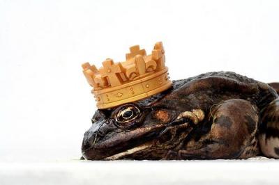 &iquest;Qu&eacute; hace un chico como yo en un sitio como &eacute;ste?